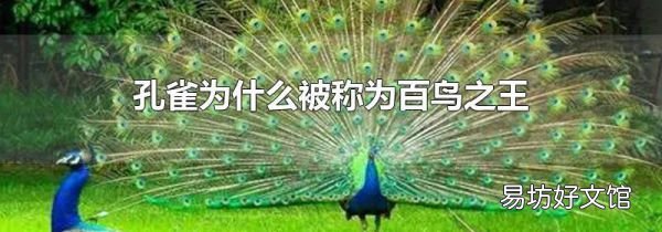 孔雀为什么被称为百鸟之王