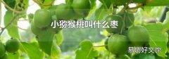 小猕猴桃叫什么枣