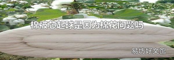 棉被芯起球是因为棉花问题吗