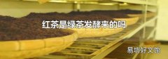 红茶是绿茶发酵来的吗