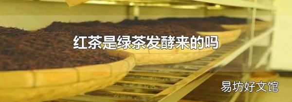 红茶是绿茶发酵来的吗
