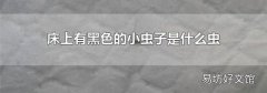 床上有黑色的小虫子是什么虫