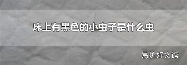 床上有黑色的小虫子是什么虫