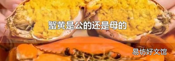 蟹黃是公的還是母的