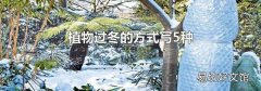植物过冬的方式写5种