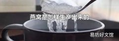 燕窝是怎样生产出来的