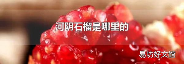 河阴石榴是哪里的