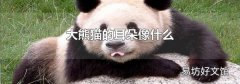 大熊猫的耳朵像什么
