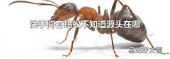 洗手间有蚂蚁不知道源头在哪