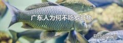 广东人为何不吃罗非鱼