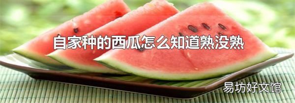 自家种的西瓜怎么知道熟没熟