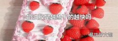 奶油胶是越热干的越快吗