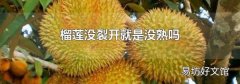 榴莲没裂开就是没熟吗