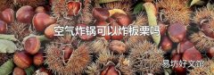 空气炸锅可以炸板栗吗