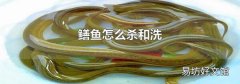 鳝鱼怎么杀和洗