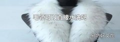 毛领可以直接水洗吗
