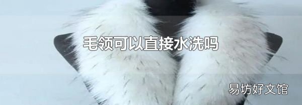 毛领可以直接水洗吗