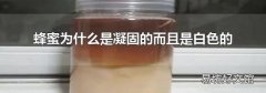 蜂蜜为什么是凝固的而且是白色的