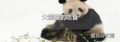 大熊猫的吃食