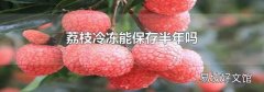 荔枝冷冻能保存半年吗