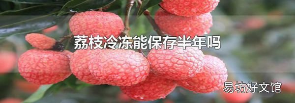 荔枝冷冻能保存半年吗