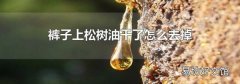 裤子上松树油干了怎么去掉