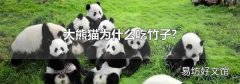大熊猫为什么吃竹子?