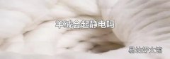 羊绒会起静电吗