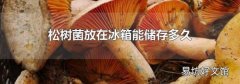 松树菌放在冰箱能储存多久