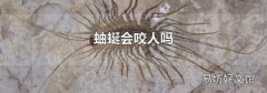 蚰蜒会咬人吗