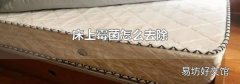 床上霉菌怎么去除