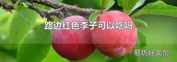 路边红色李子可以吃吗
