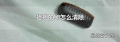 蟑螂的卵怎么清除