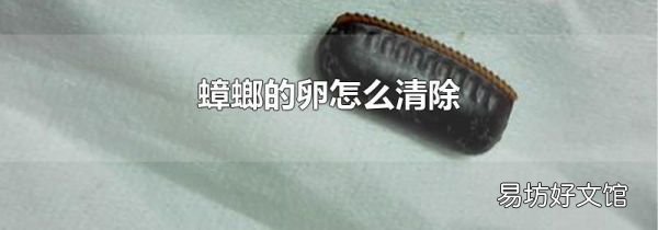 蟑螂的卵怎么清除