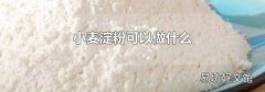 小麦淀粉可以做什么