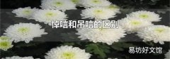 悼唁和吊唁的区别