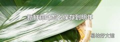 新鲜粽叶怎么保存到明年