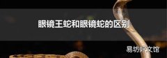 眼镜王蛇和眼镜蛇的区别