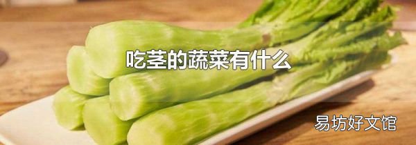 吃茎的蔬菜有什么