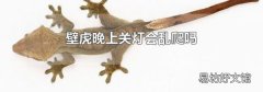 壁虎晚上关灯会乱爬吗