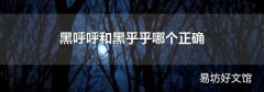 黑呼呼和黑乎乎哪个正确