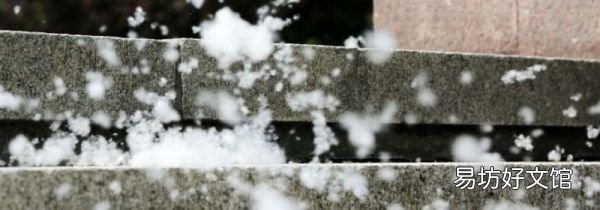 窗纱上的棉絮怎么清理