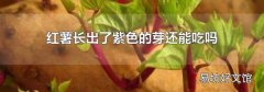 红薯长出了紫色的芽还能吃吗
