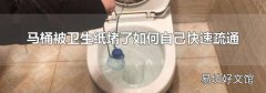 马桶被卫生纸堵了如何自己快速疏通
