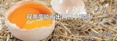 双黄蛋能孵出两只小鸡吗