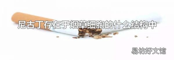尼古丁存在于烟草细胞的什么结构中