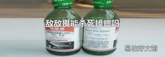 敌敌畏能杀死蟑螂吗