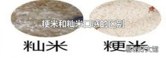 粳米和籼米口感的区别
