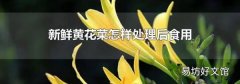 新鲜黄花菜怎样处理后食用