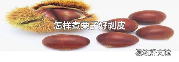怎样煮栗子好剥皮